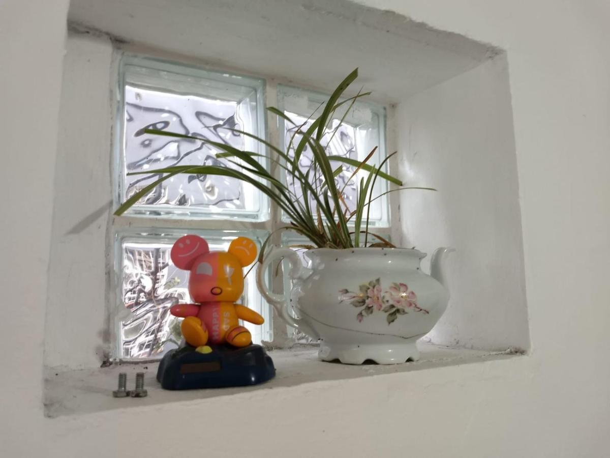 Apartament Annanda Florianópolis Zewnętrze zdjęcie